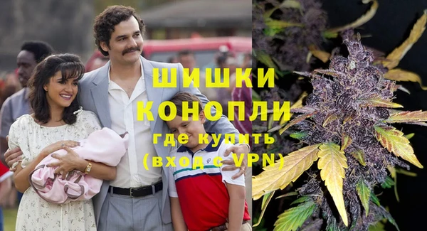 прущие грибы Майский