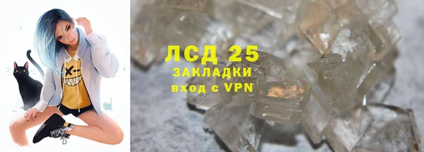 прущие грибы Майский