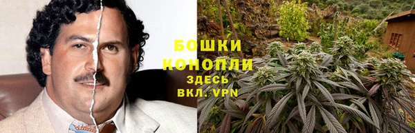 дживик Магадан