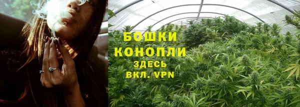 прущие грибы Майский